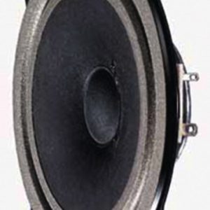 Širokopasovni zvočnik z inverznim prostorskim zvočnikom (5")