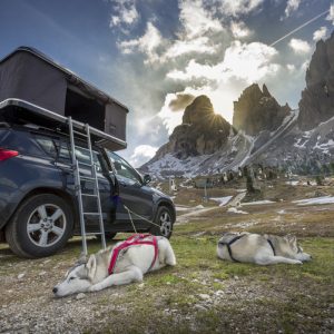 AUTOHOME 1.0 Strešni šotor s trdo lupino - Siva tkanina - Bela lupina - Majhen