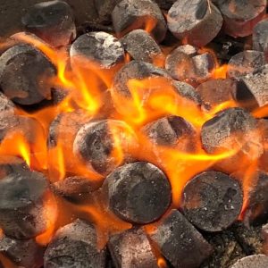 Briketi iz bambusovega oglja CASUS