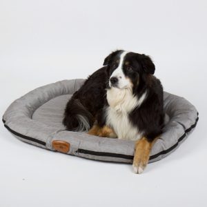 Počitniško potovanje Zunanja pasja postelja