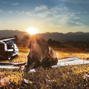 Toplotna podloga za hišne ljubljenčke 70x50cm, svetlo siva, nedrseča