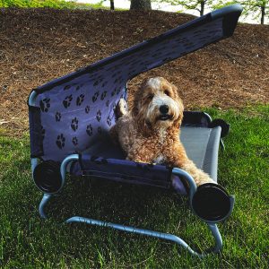 Disc-O-Bed pasja postelja DOG BED Large