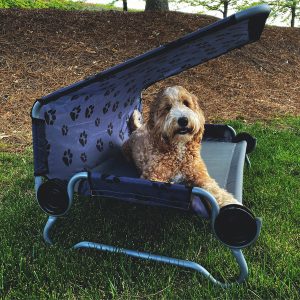 Disc-O-Bed pasja postelja DOG BED Small