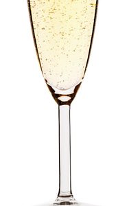 Camp4 kozarci za šampanjec Andalucia - komplet 2 kozarcev 160 ml